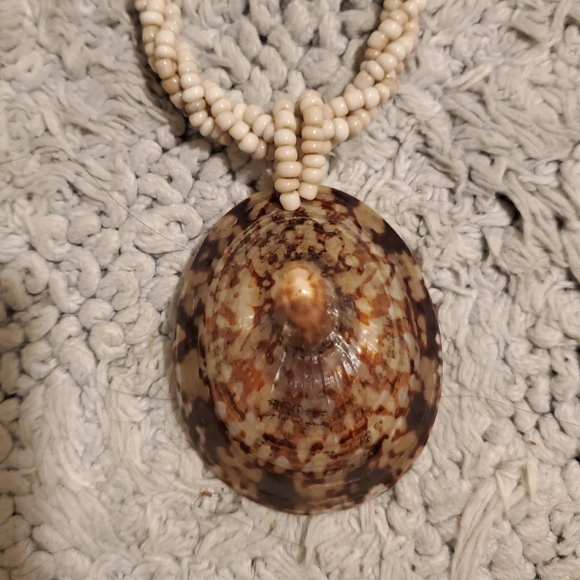 Shell necklace - Picture 3 of 5